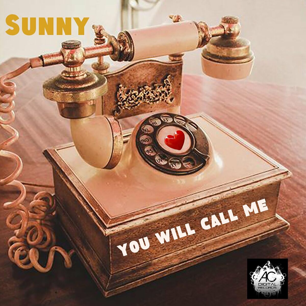 Sunny - You will call me: тексты и песни | Deezer