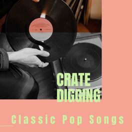 Album cover of Crate Digging - Classic Pop Songs