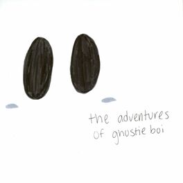 Album cover of The Adventures of Ghostie Boi