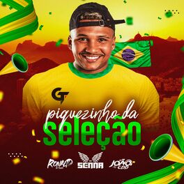 Album cover of Piquezinho da Seleção