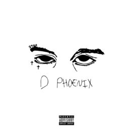 Album cover of D Phoenix