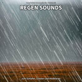 Album cover of * Regen Sounds zum Schlafen, Erholen und Meditieren