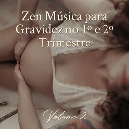 Album cover of Zen Música para Gravidez no 1º e 2º Trimestre: Volume 2, Diodos Leves e Rápidos para Música Oriental, Massagem de Períneo