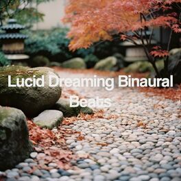 Album cover of Lucid Dreaming Binaural Beats