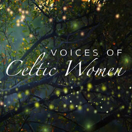 Album cover of Voices Of Celtic Women