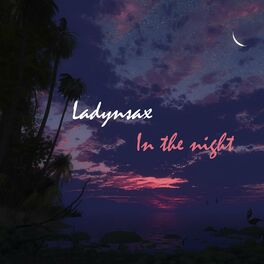 Album cover of In the Night
