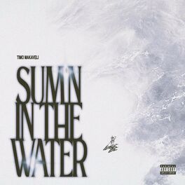 Album cover of SUM'N IN THE WATER