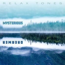 Album cover of Mysterious Dreamer