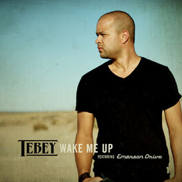 Album cover of Wake Me Up