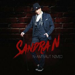 Album cover of N-Am baut nimic
