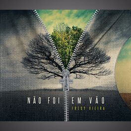 Album cover of Não Foi Em Vão