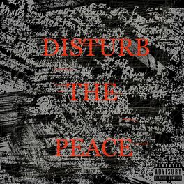 Album cover of Disturb the Peace (feat. Omenxiii)