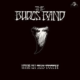Album cover of Long in the Tooth