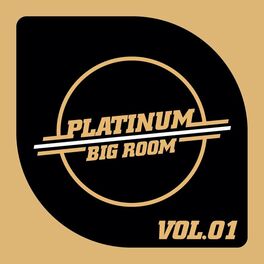Album cover of Platinum - Big Room, Vol. 1