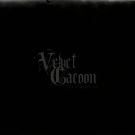 Velvet Cacoon Atropine lyrics and songs Deezer