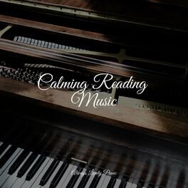 Album cover of Calming Reading Music