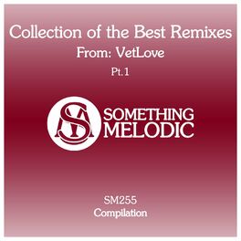 Album cover of Collection of the Best Remixes From: Vetlove, Pt. 1