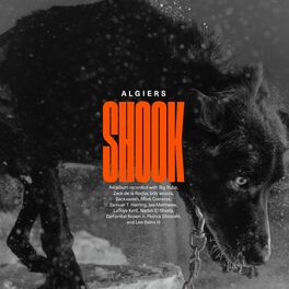 Album cover of Shook