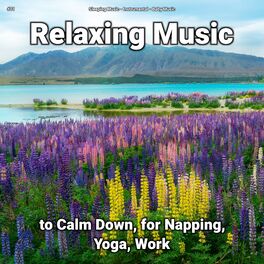 Album cover of #01 Relaxing Music to Calm Down, for Napping, Yoga, Work