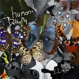 Album cover of Human Butterfly