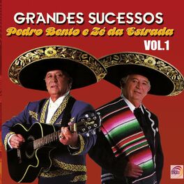 Album cover of Grandes Sucessos: Vol. 01