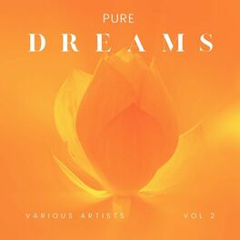 Album cover of Pure Dreams, Vol. 2