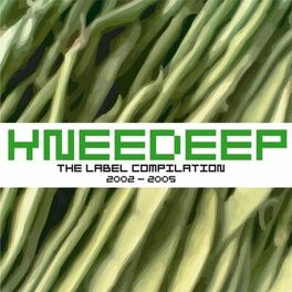 Album cover of Knee Deep The Label 2002-2005