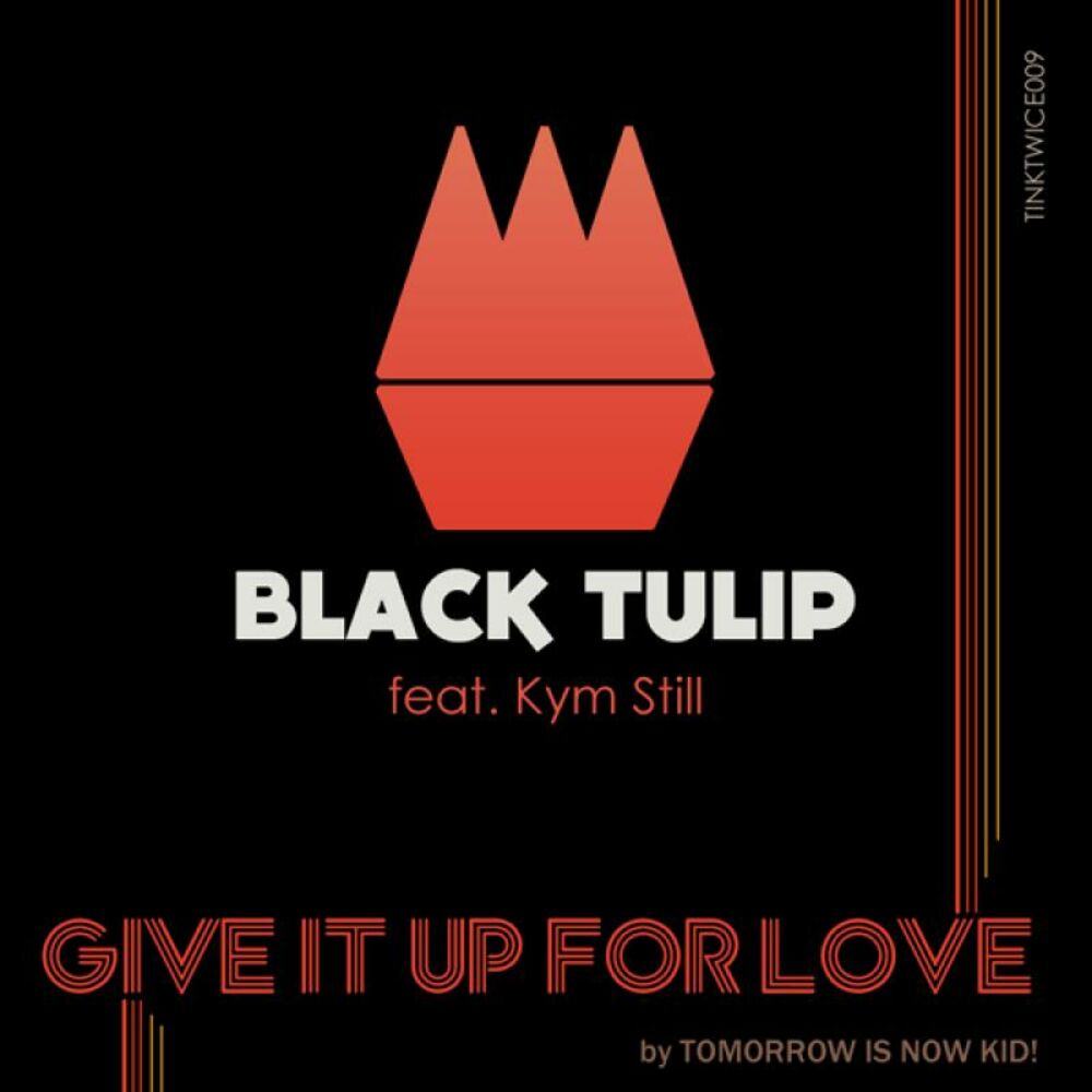 Нортон Кэмпбелл (Black Tulip). Тюльпан Love Song.