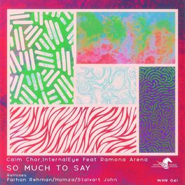 Album cover of So Much To Say