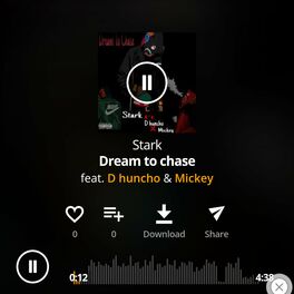 Album cover of Dream to chase