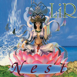 Album cover of Nest