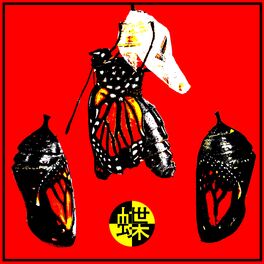 Album cover of Butterflies ft. KAINA (Serph Remix)