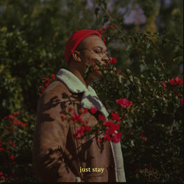 Album cover of just stay