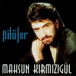 Album cover of Nilüfer