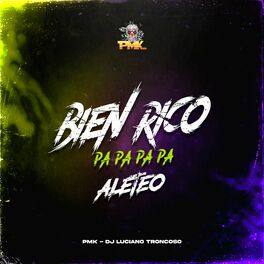 Album cover of Bien Rico (Pa Pa Pa Pa) [Remix]