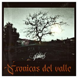 Album cover of Cronicas del valle