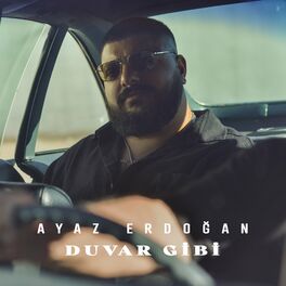 Album cover of Duvar Gibi