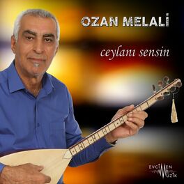 Album cover of Ceylanı Sensin