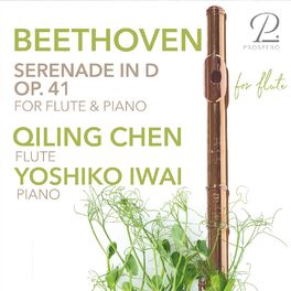Album cover of Beethoven: Serenade for Flute and Piano in D Major, Op. 41