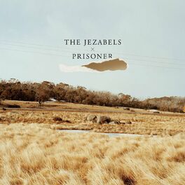 Album cover of Prisoner - Ten Year Anniversary Edition