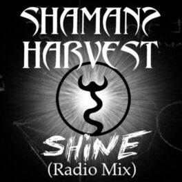 Album cover of Shine (Radio Mix)