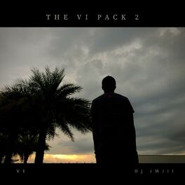 Album cover of The VI Pack 2