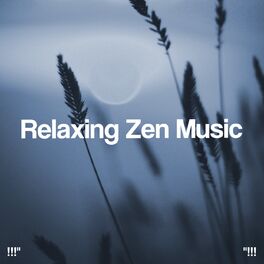 Album cover of Relaxing Zen Music