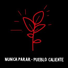 Album cover of Nunca Parar