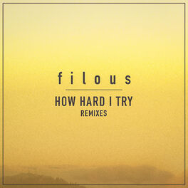 Album cover of How Hard I Try (Remixes)