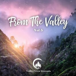 Album cover of From the Valley, Vol. 5