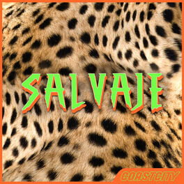 Album cover of Salvaje