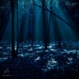 Album cover of Fairy