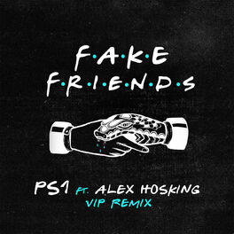 Album cover of Fake Friends (VIP Mix) (feat. Alex Hosking)