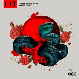 Album cover of LIT